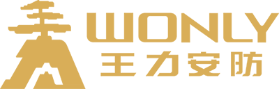 王力安防